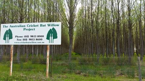 Photo: The Australian Cricket Bat Willow Project